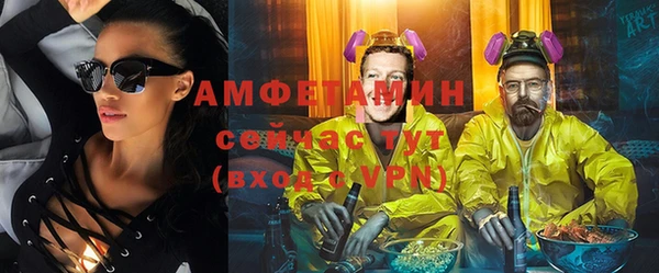 индика Алзамай